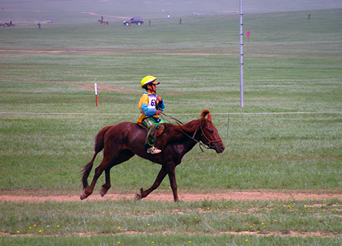 Horse racing